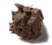 Image of Rum Truffle